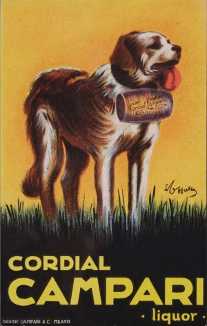 Campari dog